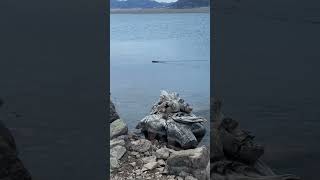 Fishing Eleven Mile Reservoir In Lake George, Colorado