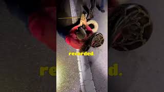 Longest Recorded Burmese Python Caught in South Florida