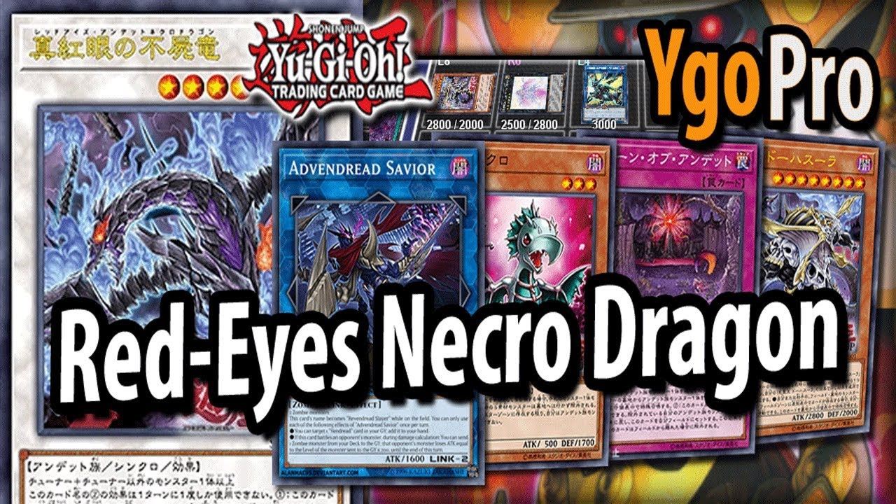Red-Eyes Necro Dragon (YgoPro) - "RIP to this Structure Deck R" =3