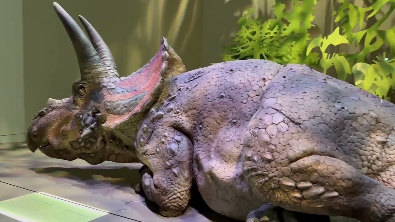 Inside the Natural History Museum Abu Dhabi 🌍🔥 Arabian Wonders Like You’ve NEVER Seen!