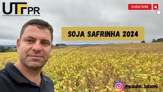 Soja safrinha 2024