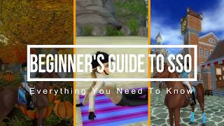 ~SSO || Complete Beginner's Guide~