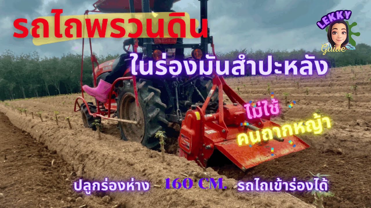 ปลูกมันสำปะหลังง่ายๆ กำจัดหญ้า โดยใช้รถไถพรวนดิน ตีหญ้าในร่อง ไม่ต้องจ้างคนถากหญ้าอีกต่อไป