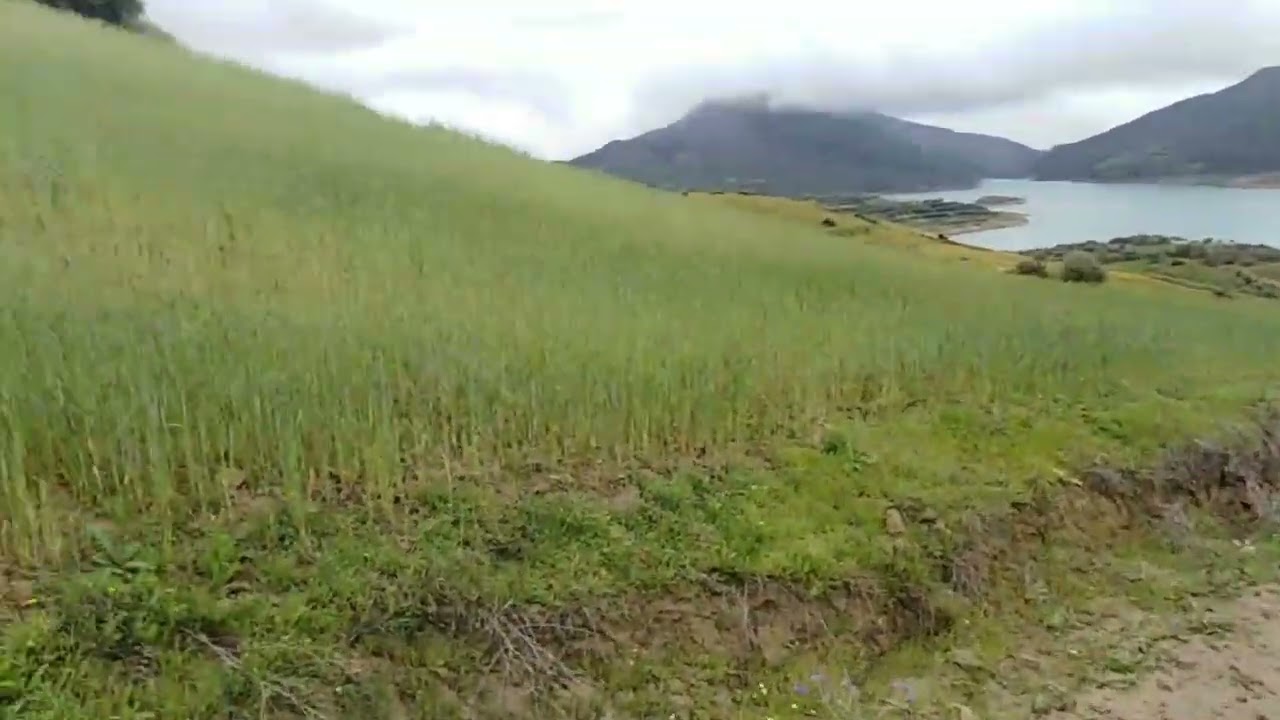 طبيعة تيموراس بباب محرز تاونات