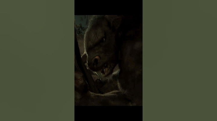 “Percy Jackson Faces the Minotaur! 🐂⚔️ A Hero Awakens at Camp Half-Blood”