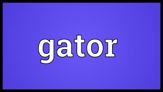 Gator Meaning