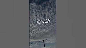 سورة الشعراء     القارئ انس المالك