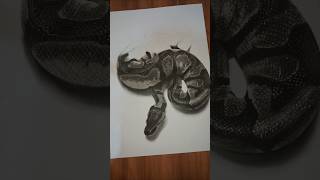 Hyper realistic snake drawing. skin texture technic #drawing #shorts #viral