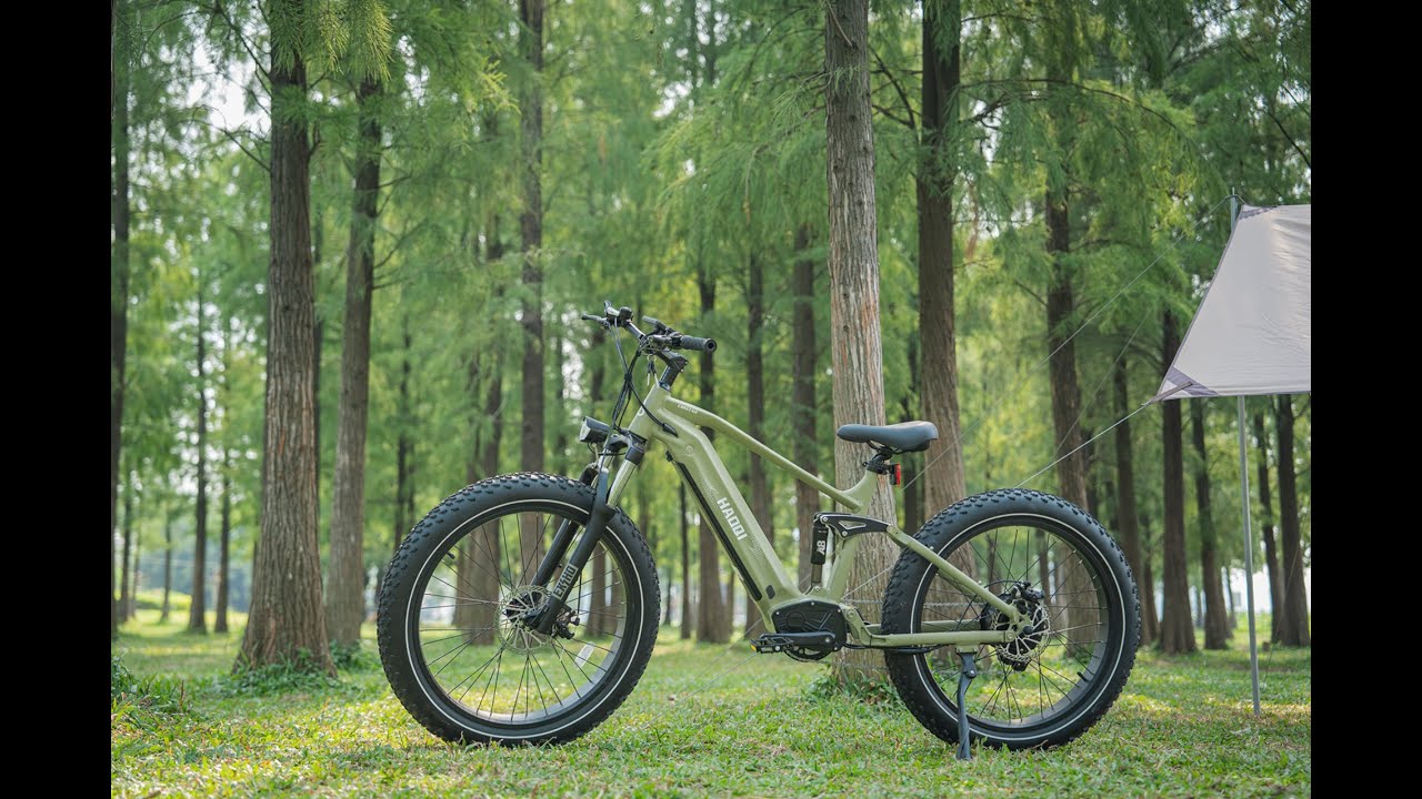 HAOQI Ebike丨Cheetah Full Suspension Electric Bike Unboxing & Review