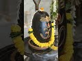 Untitled #mahadev #love #facts #song #mahakal #shivshankar