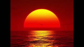 Franck Pourcel  The Fool