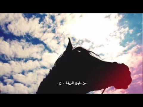 من نايح الورقا بطيئه