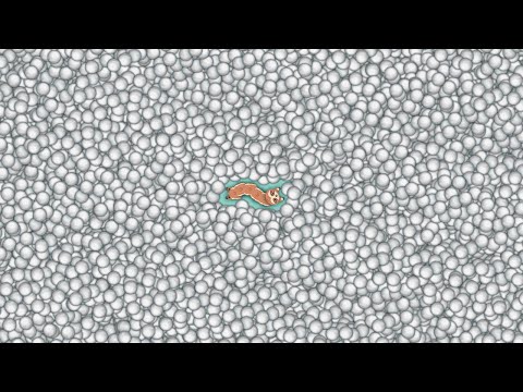 Snake.io Lovely Snake Pro Skill Epic Snake io Game ios/android!