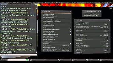 Firestorm 4.6.5 Class: Menus 2