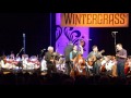 Wintergrass youth orchestra 2017