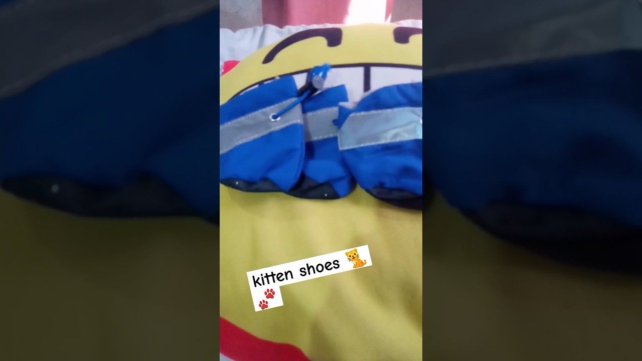 KITTEN SHOES FOR PET UNBOXING 
