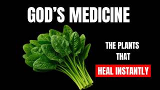 7 Magnesium Rich Plants to Heal Your Body