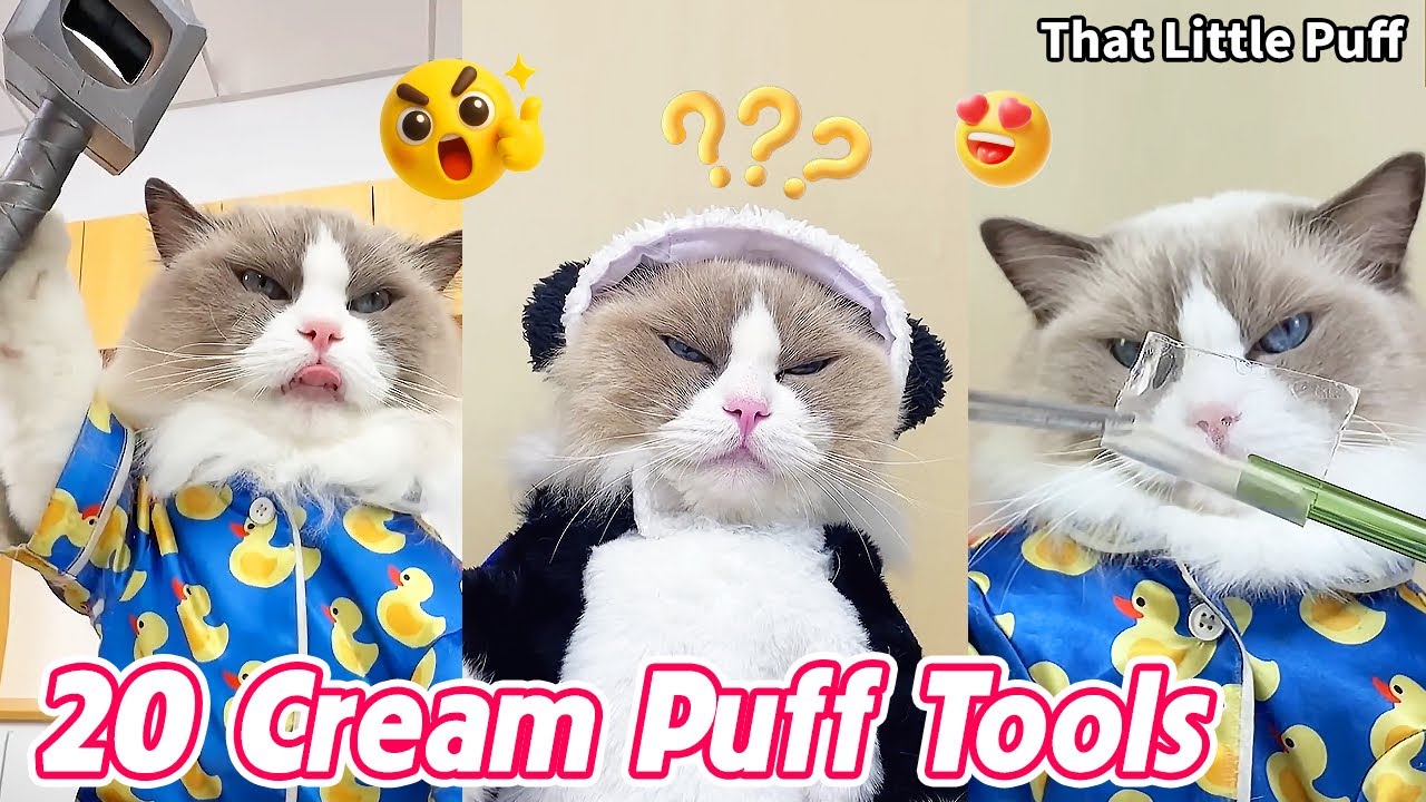 20 Must-Have Cream Puff Tools You’ll Love 🍰🔥| That Little Puff