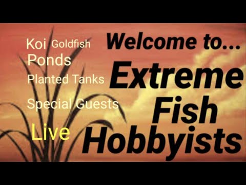 Extreme fish Hobbyists