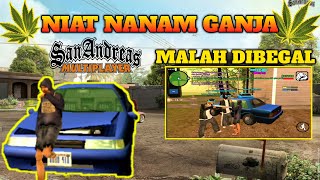 MAU NANAM GANJA MALAH DI BEGAL GTA SA ROLEPLAY #2 | NOSTALGIA ROLEPLAY