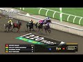 Woodbine, Tbred, August 9, 2026 Race 8 | Woodbine Horse Race Replay