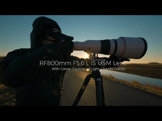 Introducing the Canon RF800mm F5.6 L IS USM with Explorer of Light