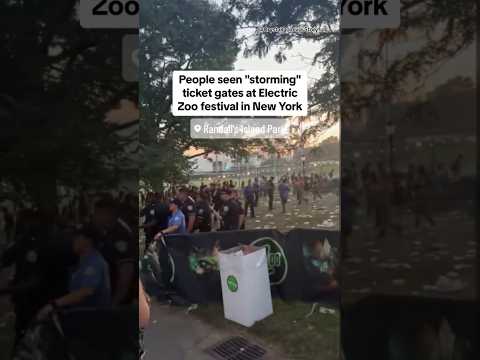 People seen “storming” Electric Zoo ticket gates in New York #shorts