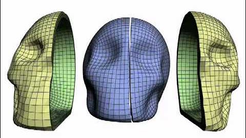 Hexahedral shell mesh construction via polycube map