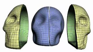 Hexahedral shell mesh construction via polycube map