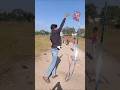 biggest poochh vali kite fly😱.#minivlog#shorts