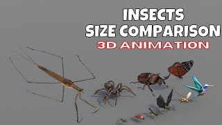 Insects Size Comparison | Blender 3D Animation | Real Scale 3D Comparison