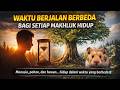 Setiap Makhluk Hidup Merasakan Waktu Berbeda