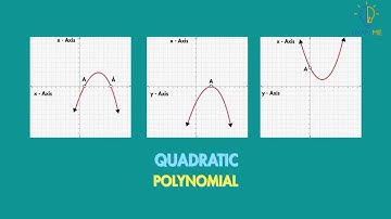 Geometrical Representation Of Zeros of Quadratic Polynomial | Part 7 | Ch. 2 | English | Class 10