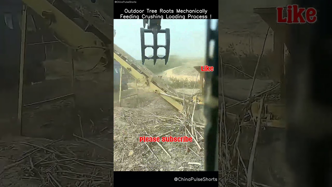 Outdoor Tree Roots Crushing & Loading: Mechanical Power Unleashed! 🌳⚙️ 