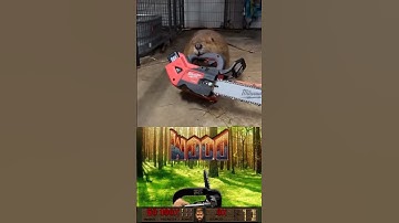 WOOD #doom #doometernal #metalmemes #djent