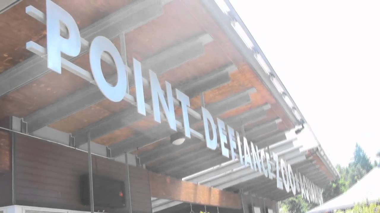 HAPPII F33T PDZA Intro video