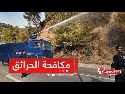 حرائق البليدة🔥.. إستنفار أمني كبير لمواجهة الحرائق وحماية المواطنين 🚨
