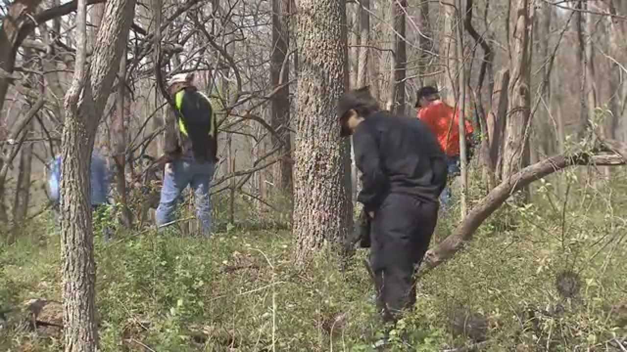 Hunting for Morel Mushrooms YouTube