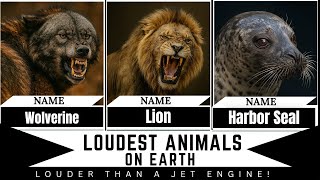 The Loudest Animals in the World – You’ll Hear Them Before You See Them