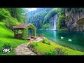 Soothing Music Helps Reduce Stress 🌿 Nature Sounds Help Deep Relaxation & Stop Overthinking