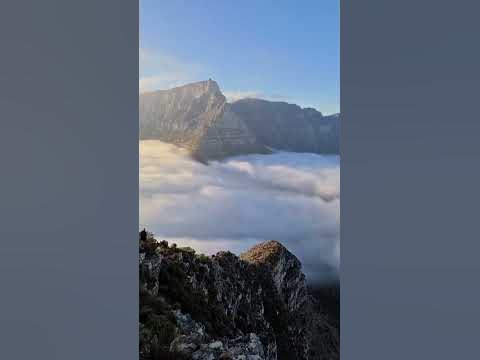 Кептаун#short - YouTube