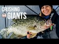 Crushing Giant Crappies on the Ice (Lake of the Woods)