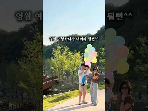 영월여행지 밤에는 청령포원을 가보실래요! 영월가볼만한곳