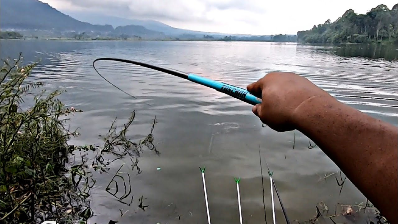 LUAR BIASA..! IKAN MASIH HAUP MESKI AIR TERUS NAIK. MANCING MANIA NGANTANG