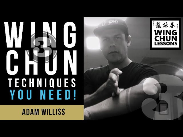 Wing Chun for Beginners: 3 Techniques You Need to Know!