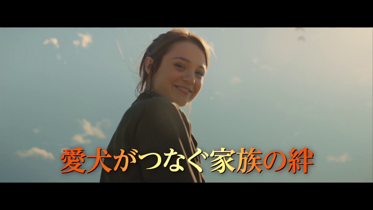 Universal Pictures Japan