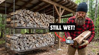 Download lagu Firewood Still Wet After 2 YEARS? Here's Why