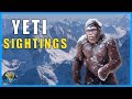 Unveiling The Mystery The Truth Behind The Yeti Unveiling The Mystery The Truth Behind The Yeti
