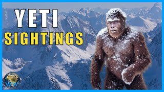 Unveiling the Mystery: The Truth Behind the Yeti