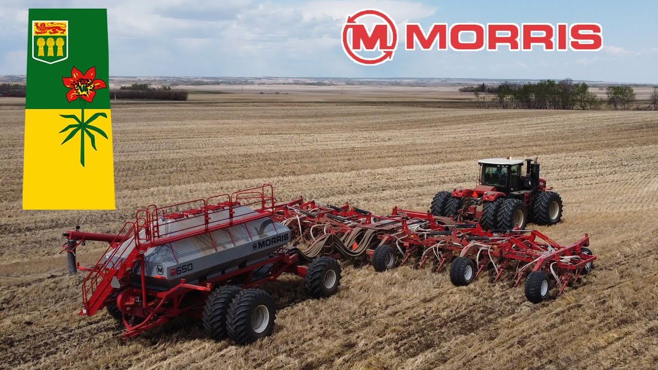 Morris Quantum seeding thoughts... 2021